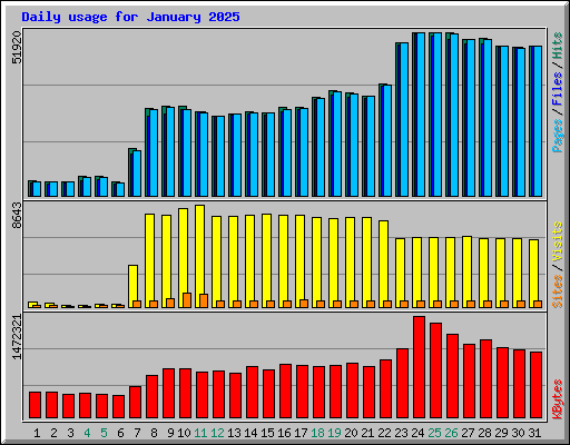 Daily usage for January 2025