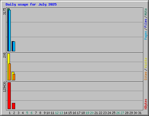 Daily usage for July 2025