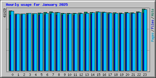 Hourly usage for January 2025