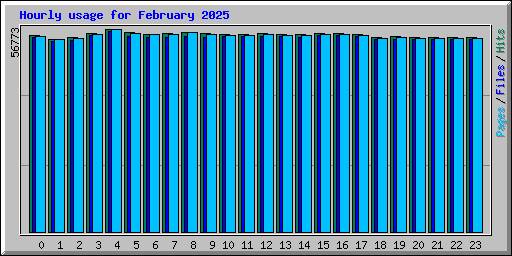 Hourly usage for February 2025